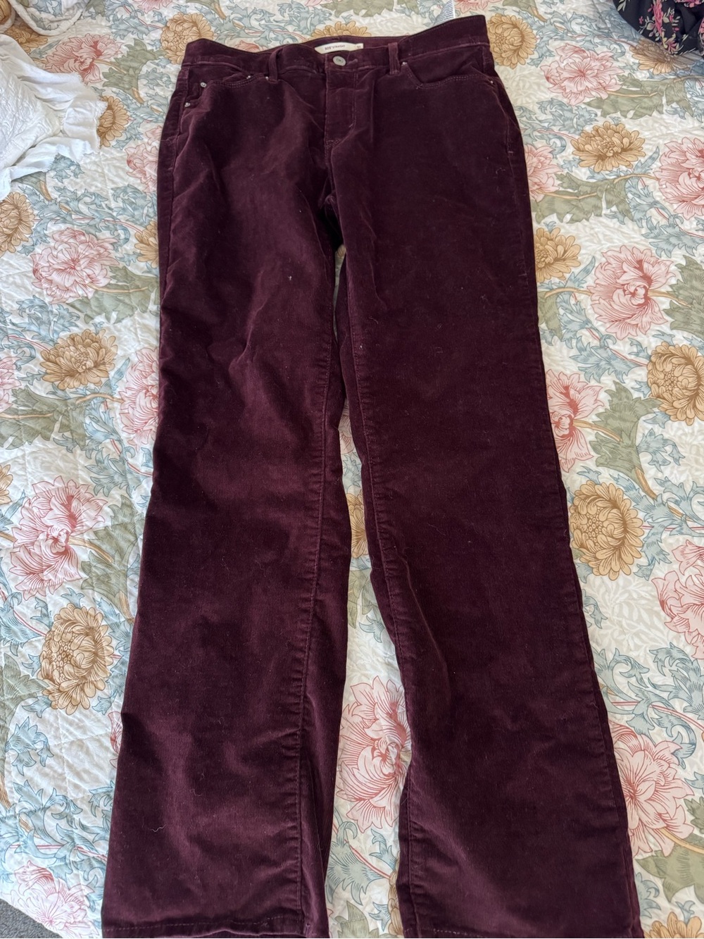 505 Levi Corduroy Pants in Deep Burgundy
